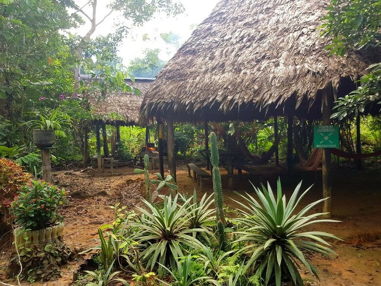 Hotel Omshanty Jungle Lodge
