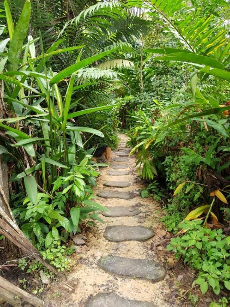 Hotel Omshanty Jungle Lodge