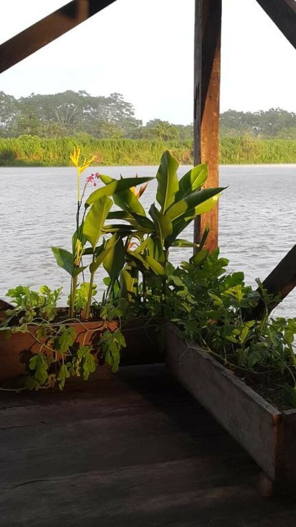 Hotel Caba�a Flotante Kurupira