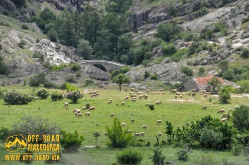 Agroturismo Villa Tereza - Zovich