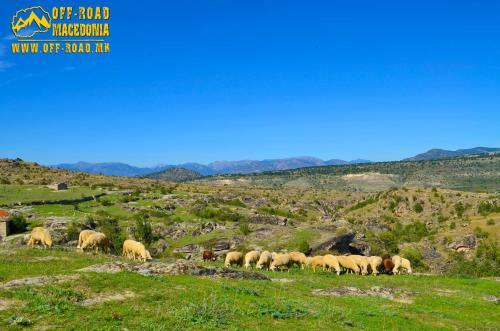 Agroturismo Villa Tereza - Zovich