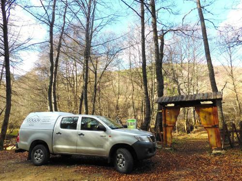 Hotel Gogov