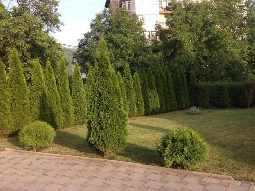 Hostal Naumovski Guest House