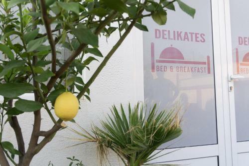 Bed & Breakfast Delikates
