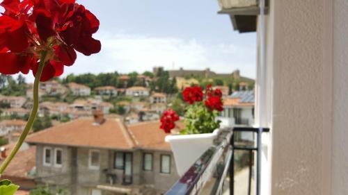 Hostal Villa Srma