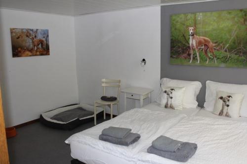 Muppentrupp Hundehotel B&B
