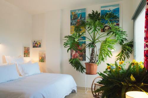 Hostal Beit El Tawlet
