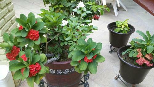 Hotel Posada Del Rey