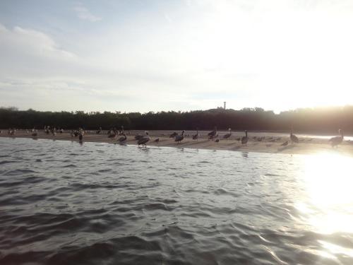 Hotel Marina San Blas