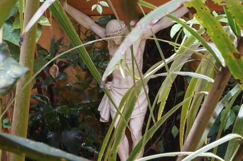 Hotel Paraiso Huasteco