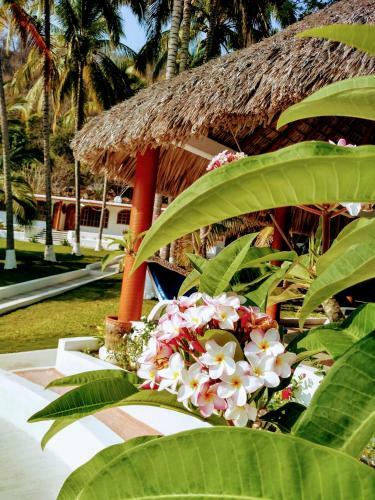 Hotel Y Club Campestre Altos Paraiso