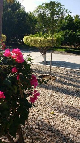 Hotel Y Club Campestre Altos Paraiso