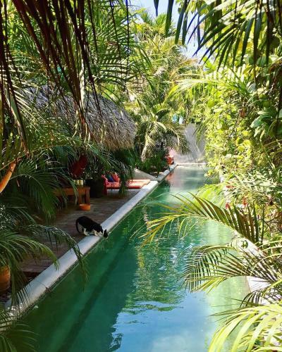 Hacienda La Rusa B&B