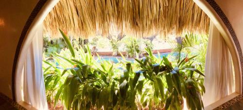 Hacienda La Rusa B&B