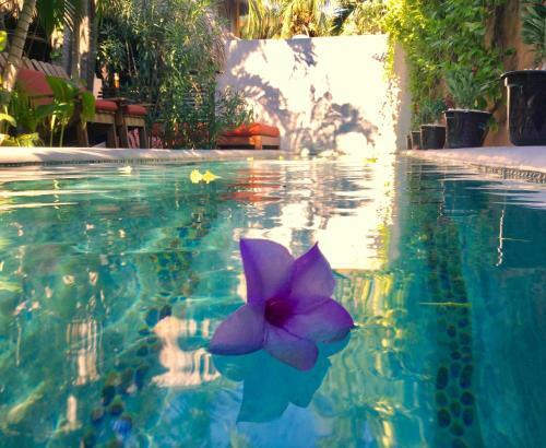 Hacienda La Rusa B&B