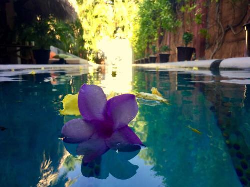 Hacienda La Rusa B&B