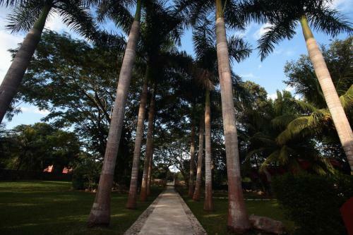 Hacienda San Jose Poniente