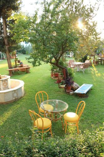 Chateau Des Oliviers Boutique Hotel