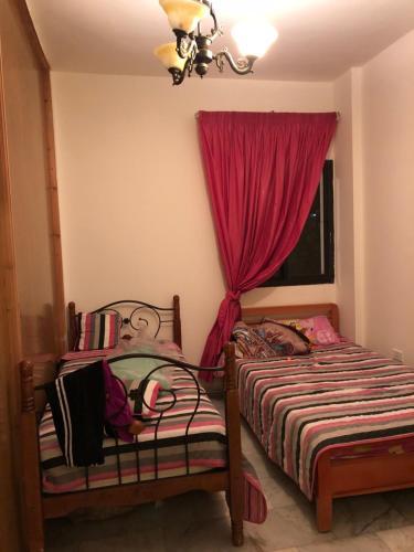 Wonderful Apartment
