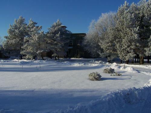 Hostal Beach Guesthouse Lenkas