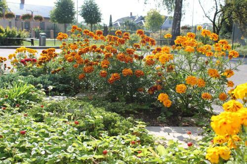 Albergue Latvijas Sarkan? Krusta Viesn?ca