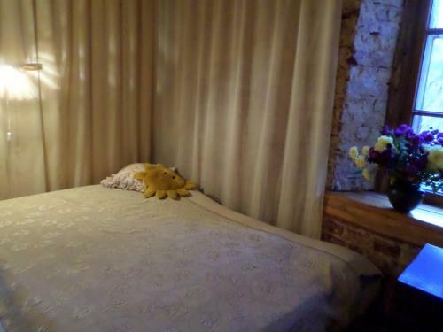 Hostal Guest House Ru?ciems