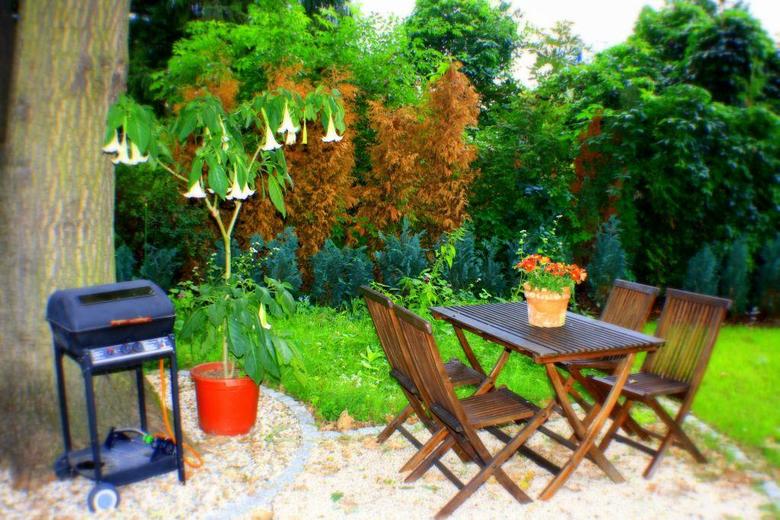 Senscity Hotel Berlin Spandau