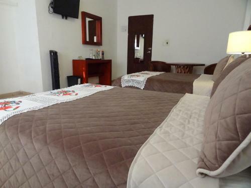 Hotel San Miguel Penjamo