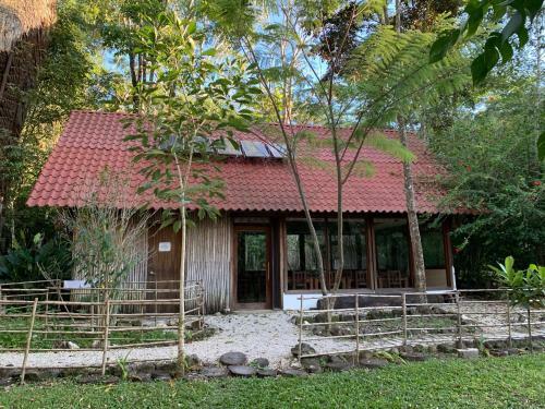 Ecolodge Resort Naha - Selva Lacandona