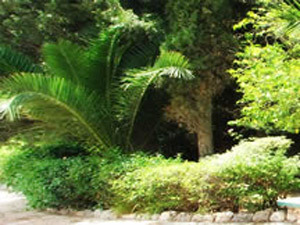 La Fuente Hotel & Suites