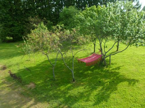 Hostal Guest House Ziedkalni