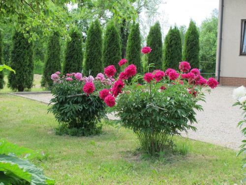 Albergue Staro??iki Lejaskalns