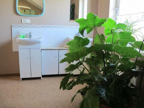 Albergue Staro??iki Lejaskalns