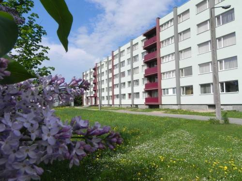 Hostelis Za?? Mui?a