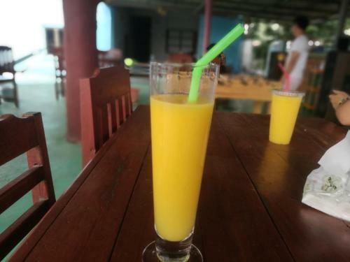 Albergue Jennin Backpackers Guesthouse