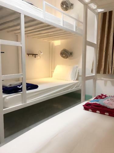 Downtown Backpackers Hostel 2
