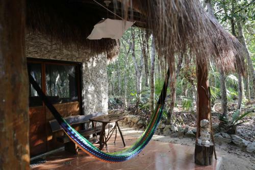 Cavelands In The Jungle