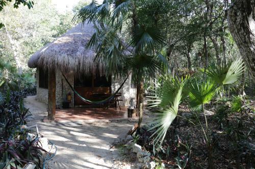 Cavelands In The Jungle