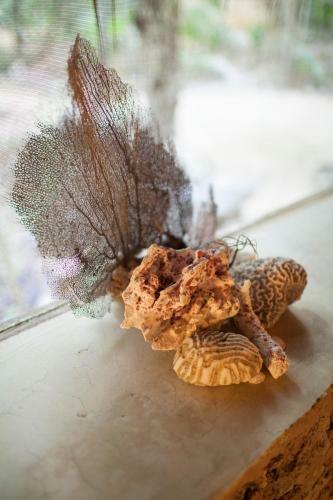 Cavelands In The Jungle