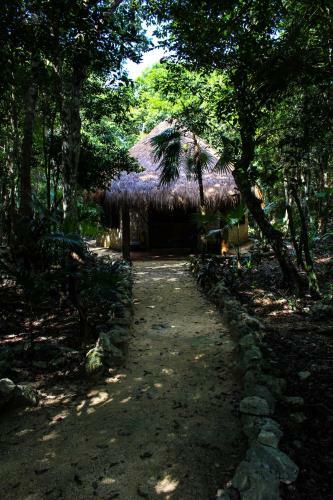 Cavelands In The Jungle