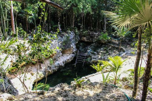 Cavelands In The Jungle