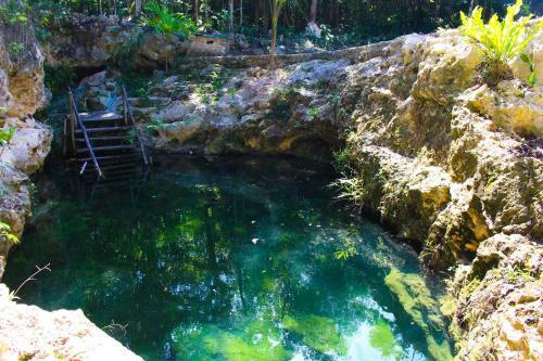 Cavelands In The Jungle