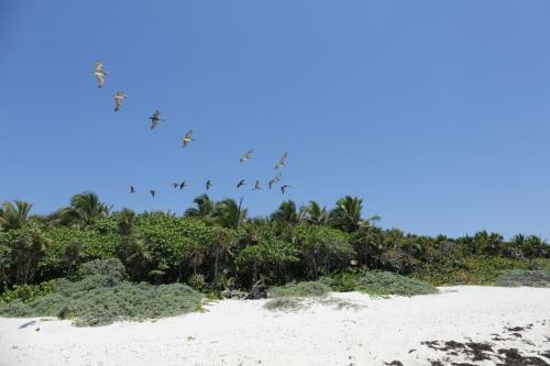 Cavelands In The Jungle