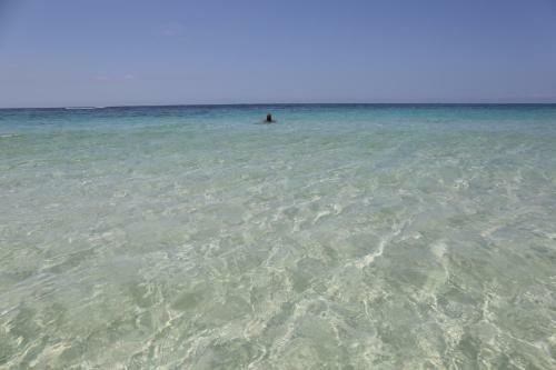 Cavelands In The Jungle