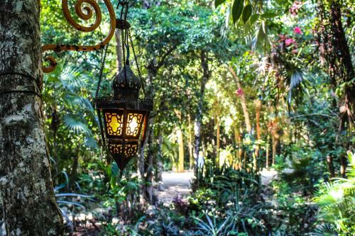 Cavelands In The Jungle