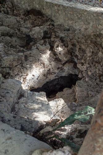 Cavelands In The Jungle