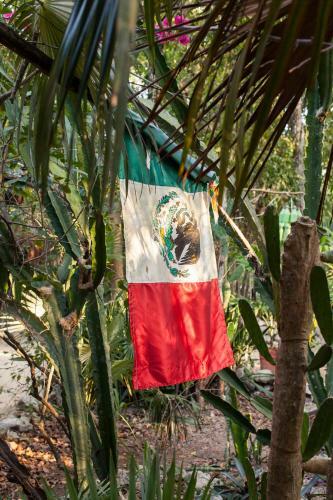 Cavelands In The Jungle