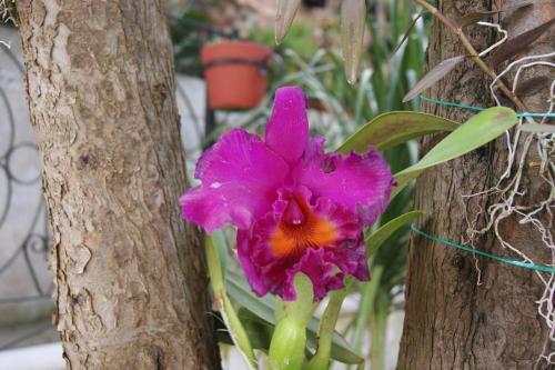 Hotel Estancia San Jorge