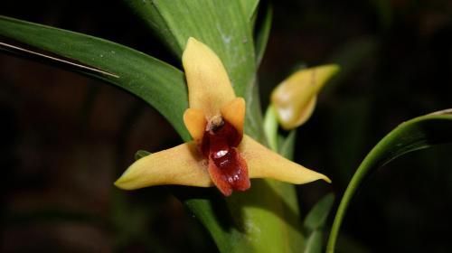 Hotel Estancia San Jorge