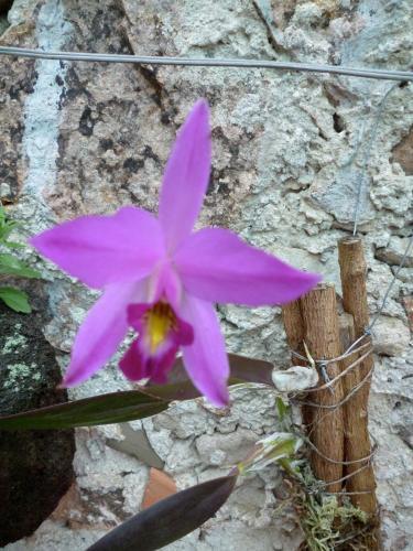 Hotel Estancia San Jorge